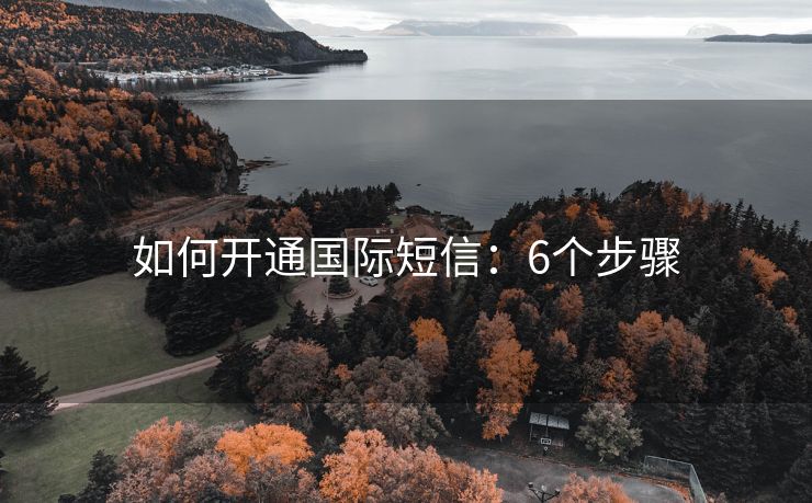 如何开通国际短信：6个步骤